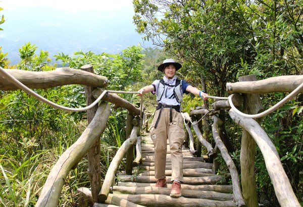 大坑四號步道_頭嵙山3079493