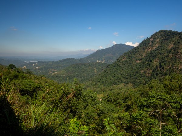 鳳凰谷鳥園2961146