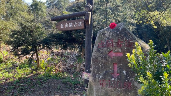 樟之細路-聖關段2686818