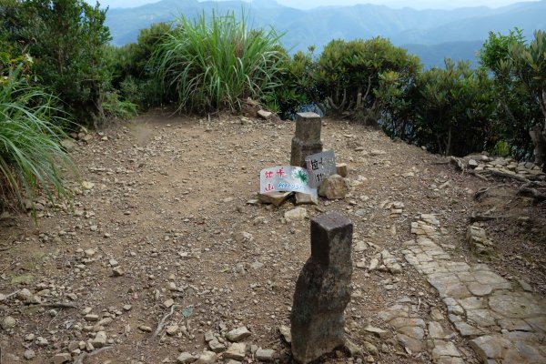 桃園復興區  東卡O縱2823832