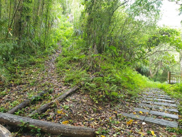 人生之中有點可怕的登山行程......玉女山、金童山及汶水山1552807