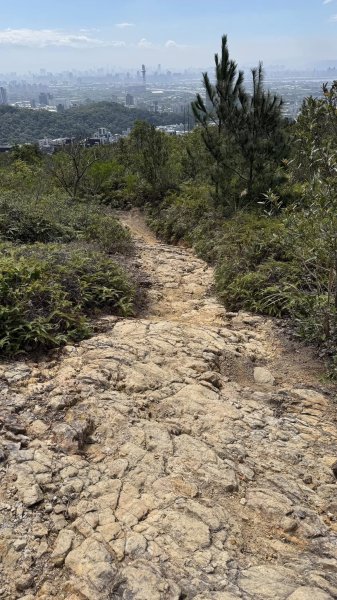 20250215新北投大師岩軍艦岩2718185