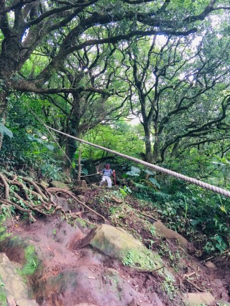 大屯群峰（北南峰）1070764