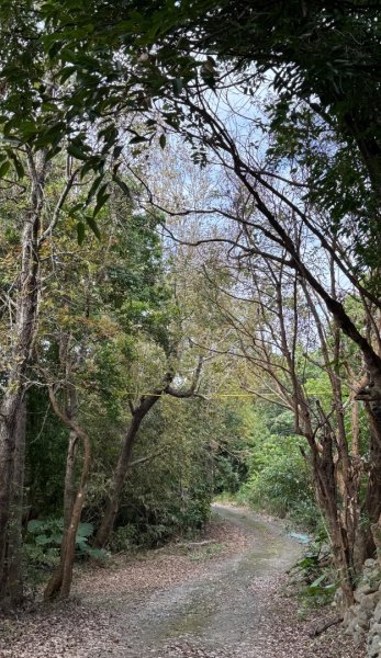 台東三小百岳 Day 1：巴塱衛山#96 加奈美山#95 太麻里山#943006141