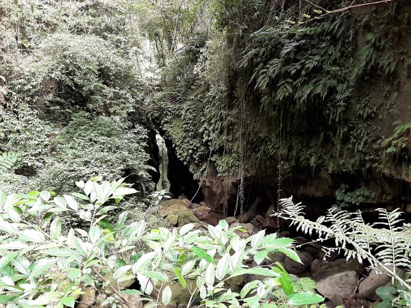 【跟著寶寶漫步參山】獅頭山五連走1135994