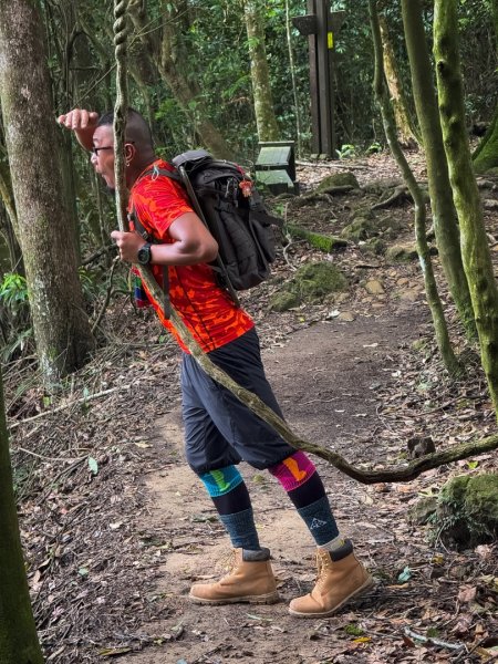 新竹五指山 - 指峰凌霄2768538