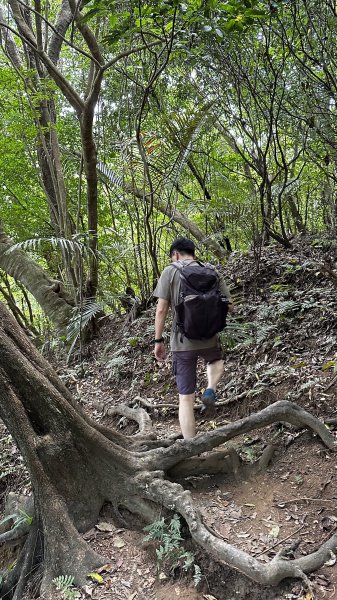 我の夏日健行~天母古道→翠峰瀑布2221100