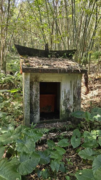 20251217麗水保甲路-麻斯廪水圳步道-大湖古道2964513