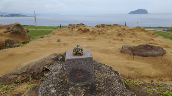 202507基隆傘人家族2984454