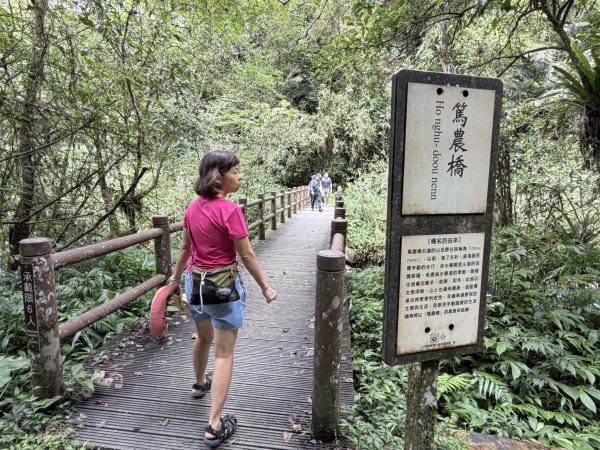 九寮溪步道(戈霸瀑布)2026.06.193079263