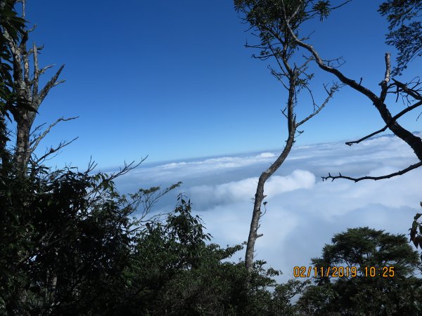 加里山雲海美景725077