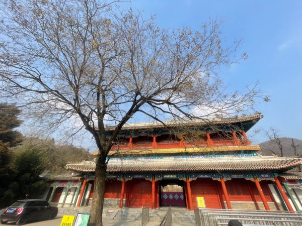 ㄧ路向北尋雪2994217