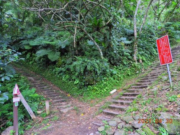 花蓮 撒固兒步道1368082