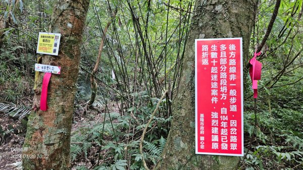 東勢大崙、東勢坑山、觀音湖山O走2986215