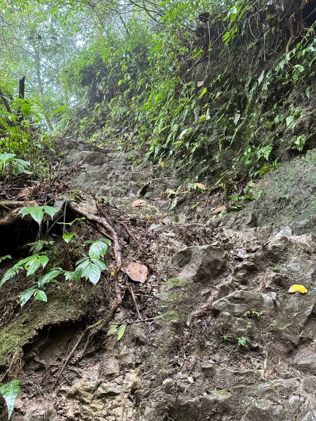 陡上陡下的溪頭鳳凰山1872923