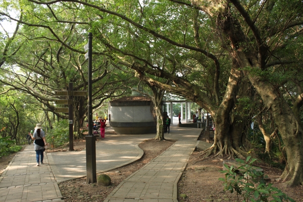20170107台灣桃園虎頭山步道90643