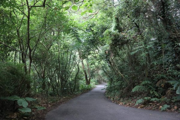 〔北投〕半嶺吊橋 半嶺水圳古道 半嶺瀑布 松溪瀑布。剛完工不久，滿滿森林芬多精的半嶺水圳步道2221073