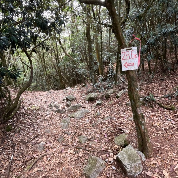 20260124_鳶嘴山（台中小百岳）3102249