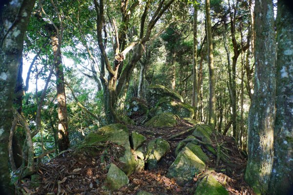 新竹 五峰 鳥嘴山、大窩山2956862