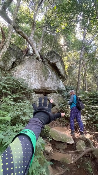 尖石🌳羅山林道野營-油羅山-竹苗小百岳3133064