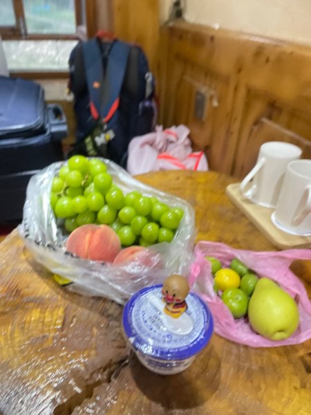 西藏♥️可愛動物🐎人物寫真/拉薩旅拍/美食2903334