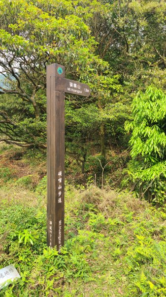 陽明山國家公園-磺嘴山、翠翠谷生態保護區1415952