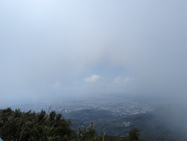 2023-11-19 臺北大縱走第三段2793043