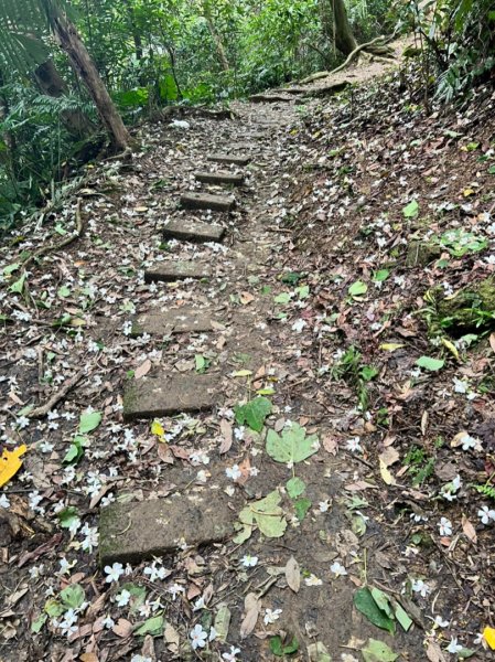 鳶尾山，鳶山，彩壁1686617