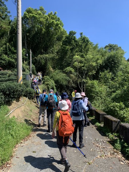 20250816嘉義鼠眉毛O繞2864076