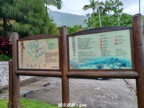 【花蓮壽豐】秀麗山景。 池南國家森林遊樂區森林浴步道2266003