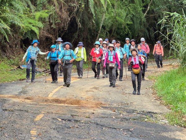 阿里眉山+大舌滿山（路跡不明/未竟 ）2864611