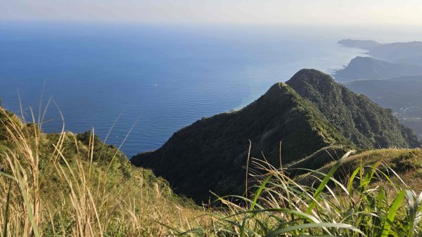 20260115基隆山主東峰2982653