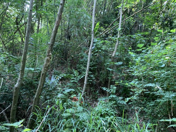 20250929台南馬草山2899812