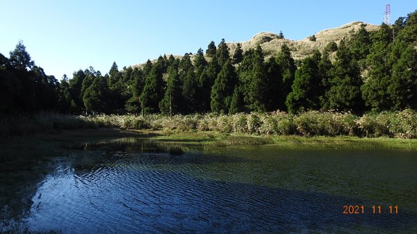 秋高氣爽芒花季再度陽明山天際線-七星山主東峰+大屯山主南西峰向天面天山O型+小觀音山主西南峰共10峰1511062
