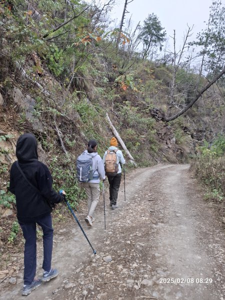 2025.02.08 限時秘境?菜市場? 北港溪峽谷步道2709001
