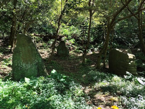 劍潭古寺→潛園→銅心米粉寮休息站→鄭成功廟→格物台; 內湖瑞陽公園、運動中心、大港墘公園、淡水老街2639486