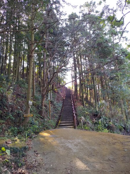 獅潭鳴鳳古道1265376