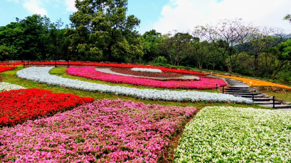 北投社三層崎3010982