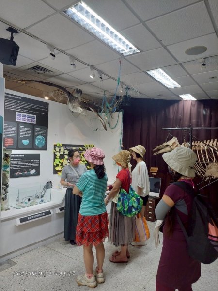 雨天備案💙 台灣博物館的古生代館-台大動植物館免費參觀-北投♨️季2808836