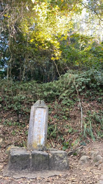 馬那邦山賞楓歡樂野餐/採草莓苗栗一日遊1217025