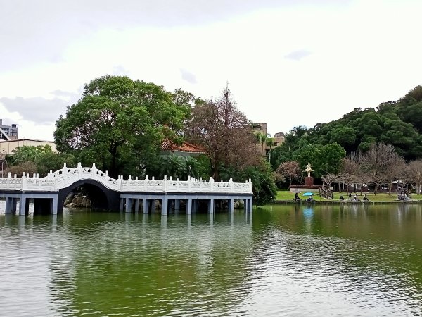 【南山神壽任務尋寶趣】詩情畫意的碧湖公園步道