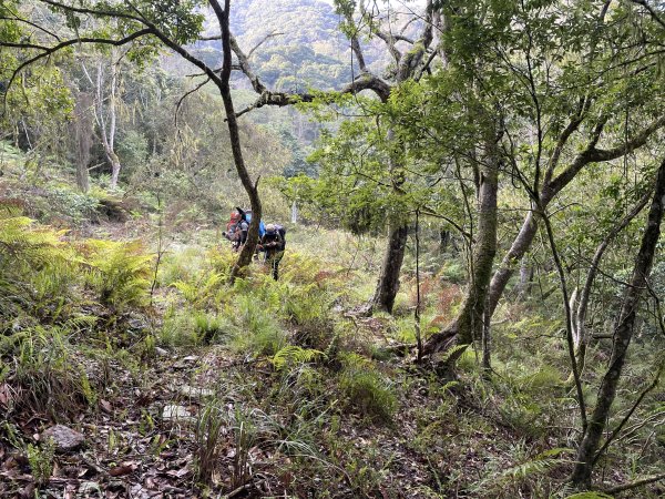 鍛鍊海鼠O型縱走 (上)1314489