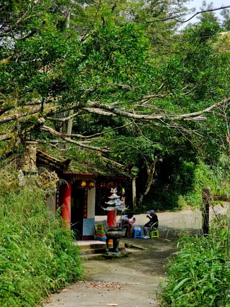 竹子尖山-小百岳#67-台南市楠西區/梅峰古道-(台南)臺灣百大必訪步道2630934