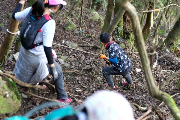 漫步樂山舊鐵道1612732