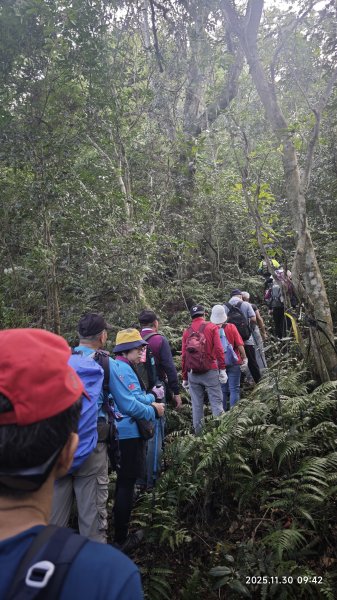 2025-1130 新店三(二)潭縱走2966902