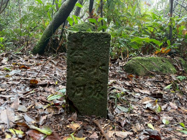 新北 汐止 柯子林橋-柯子林天然泳池-友蚋山南峰-友蚋山-新山-夢湖-柯子林橋2988388