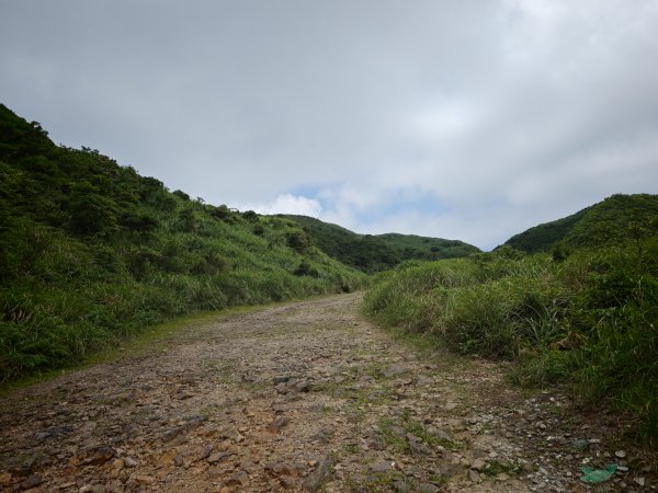 [淡蘭古道] 2026_0531 北路第一段_燦光寮古道(中)-陡坡3070882