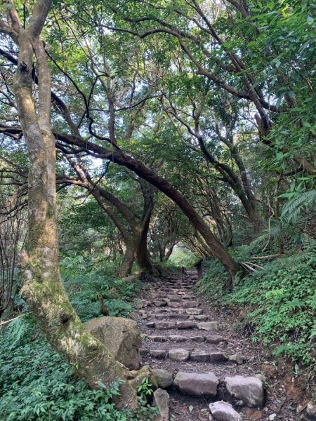 紗帽山登山步道—橫嶺古道—前山公園1966121