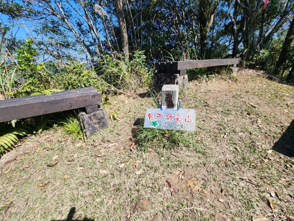 20260214磨碧潭山(坪林上三角崙山失敗中途撤退)回程順遊大尾山步道鬼子瀨尖3010932