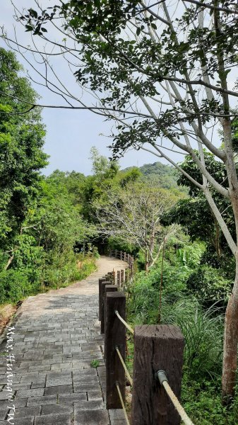 《苗栗》遺落莊園｜墨硯山步道O繞202310222322871